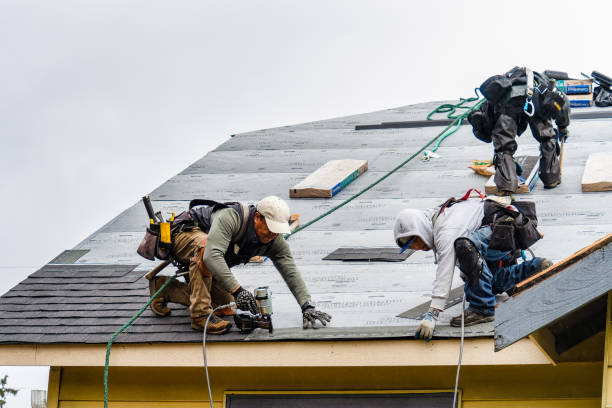 Professional Gutter Installation technician working in West Point, IL